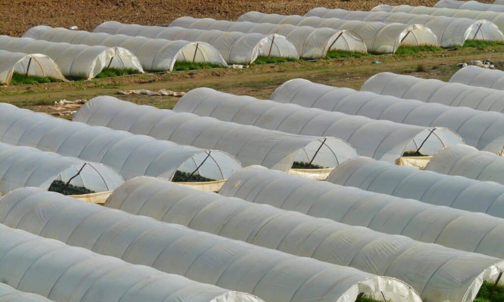 suministro agricola