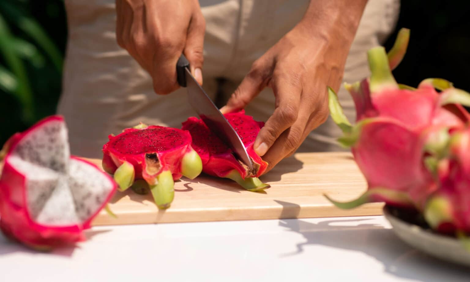 Cultivo de esquejes de pitaya