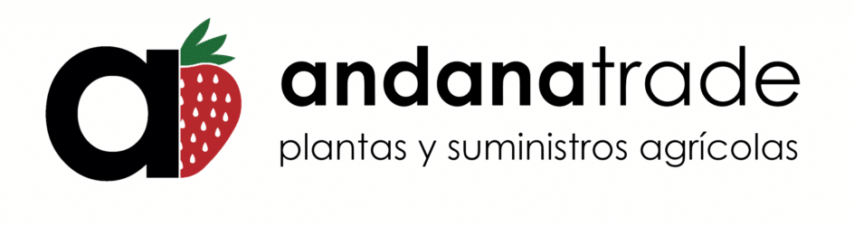 ANDANA TRADE